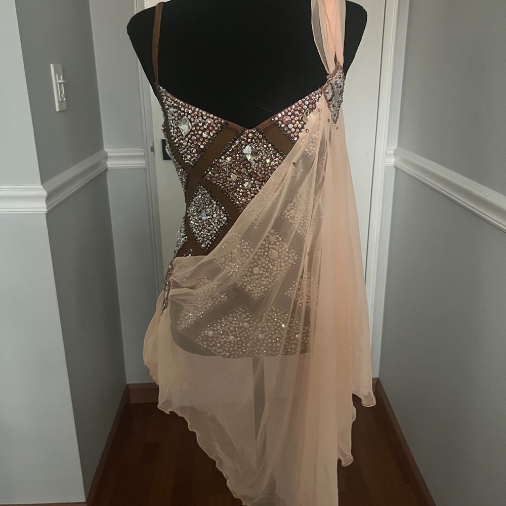 Latin Ballroom Dance Dress - Picture 11 of 16